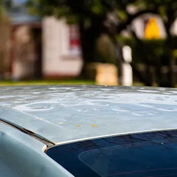 Hail Damage​ in Spring, TX