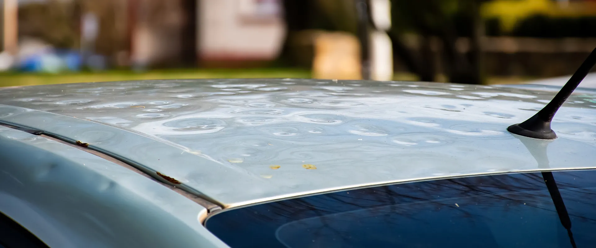 Hail Damage​ near Spring, TX